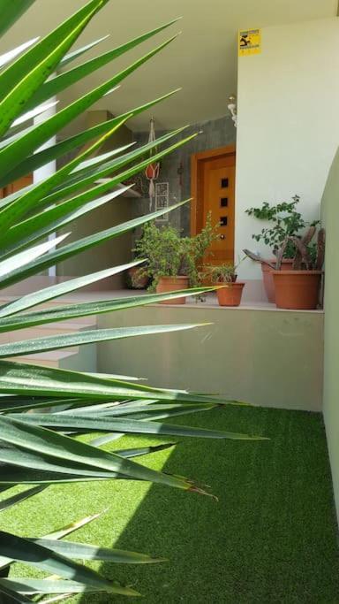Atlantic Star - Duplex With Ocean Views Apartment Puerto del Rosario  Bagian luar foto